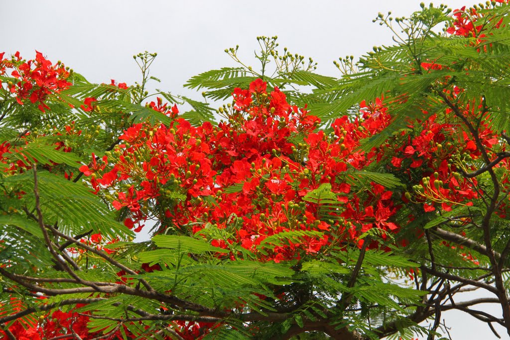 Thiết kế website bán hàng tuyệt đẹp tại Hải Phòng