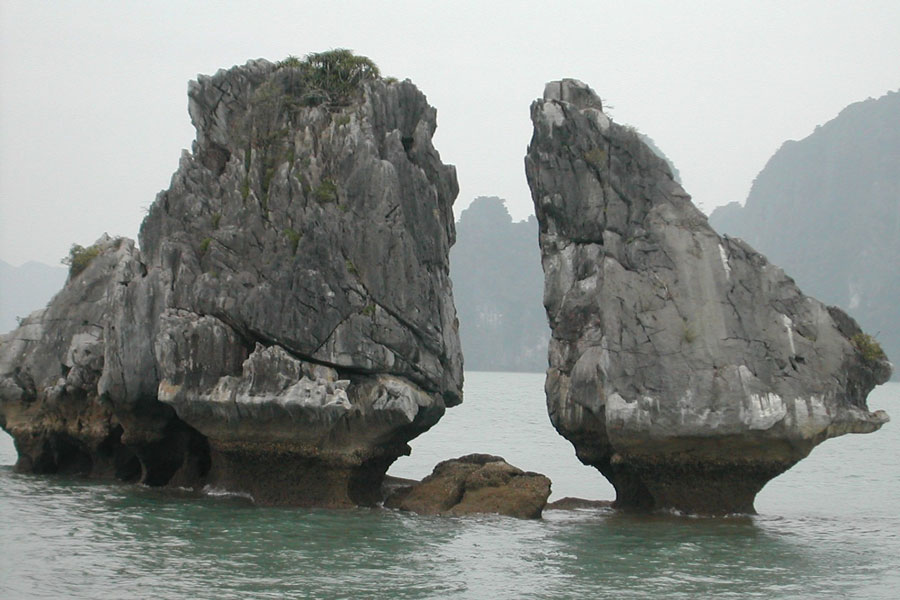 thiet-ke-web-quang-ninh