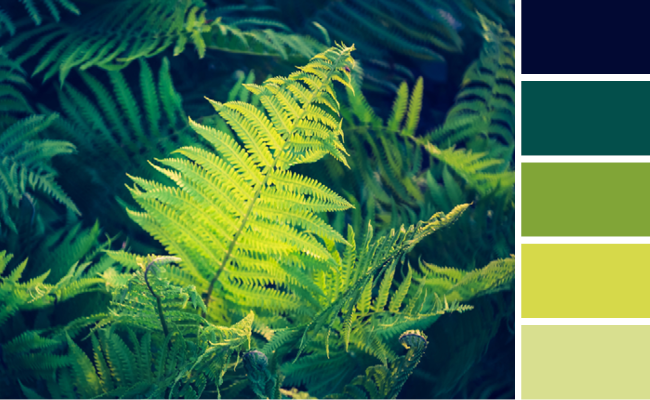 chon bang mau khi thiet ke website 2