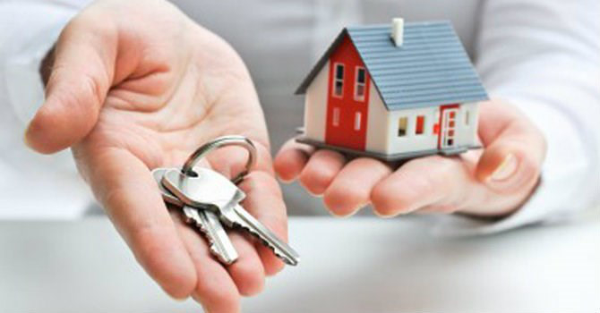 thiet ke webite bat dong san _1