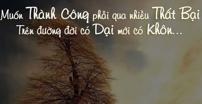 co nen theo nghe seo khong